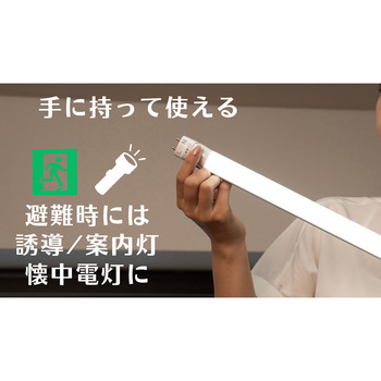ライトセーバーtsuita(昼白色)×10本セット 日本防災スキーム