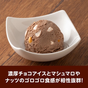 [冷凍]アンナミラーズアイス チョコマシュマロ 井村屋