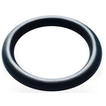 Oリング 内径 21.3mm エチレンプロピレンゴム 1袋 10個入 Hutchinson