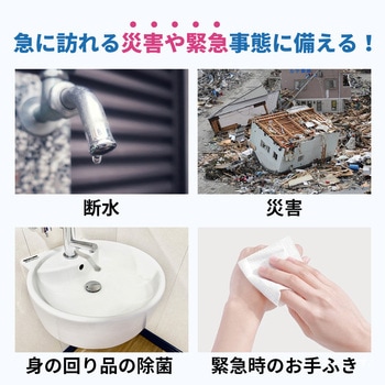 10年保存ウェットティッシュ EVERSAFE