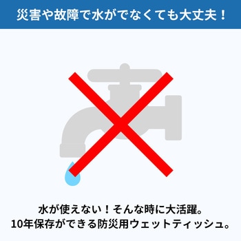 10年保存ウェットティッシュ EVERSAFE