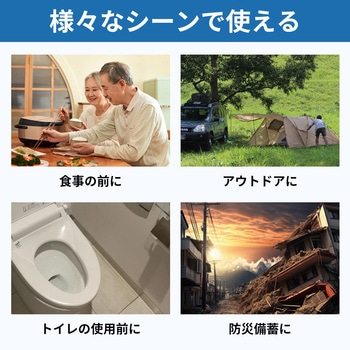 10年保存ウェットティッシュ EVERSAFE