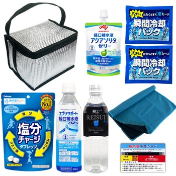熱中症対策キット EVERSAFE