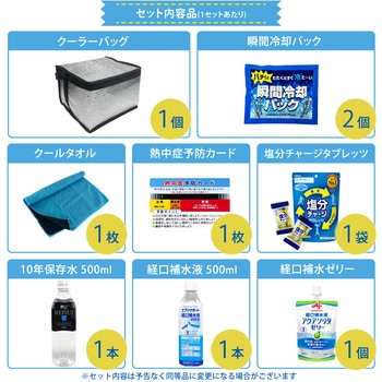 熱中症対策キット EVERSAFE