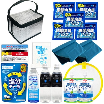 ATDX001SL �M���Ǒ΍�L�b�g EVERSAFE 65849187