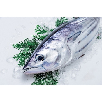 [冷凍]冷凍 鹿児島黒豚角煮と枕崎かつおめし - 松栄軒