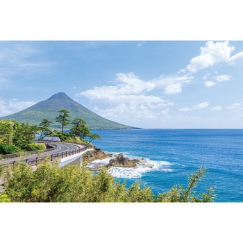 [冷凍]冷凍 鹿児島黒豚角煮と枕崎かつおめし - 松栄軒