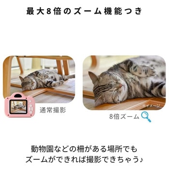 キッズカメラ MiNiPiC