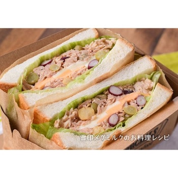 [冷蔵]ネオソフト 雪印メグミルク