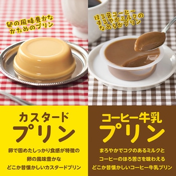袋入コーヒー牛乳プリン 井村屋