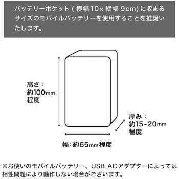 ヒーターでしっかり保温「あったかムートンブーツ」(S) サンコー(生活用品)