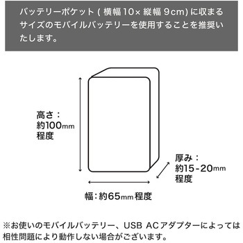 ヒーターでしっかり保温「あったかムートンブーツ」(M) サンコー(生活用品)