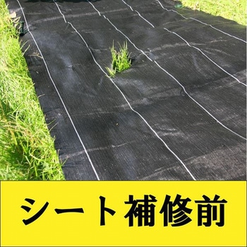 防草シート補修セット イノベックス(ダイオ化成)