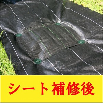 防草シート補修セット イノベックス(ダイオ化成)