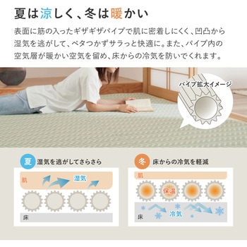 洗えるい草風カーペット パスラッシュ 萩原