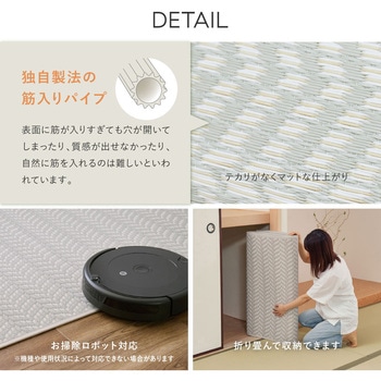 洗えるい草風カーペット パスラッシュ 萩原