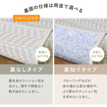 洗えるい草風カーペット パスラッシュ 萩原