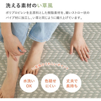裏貼り付き 洗えるい草風カーペット パスラッシュ 萩原