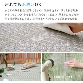 裏貼り付き 洗えるい草風カーペット パスラッシュ 萩原