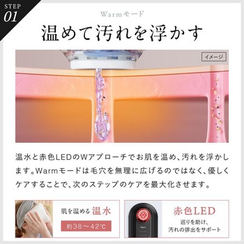 Multi Skin Cleaner マルチスキンクリーナー NIPLUX