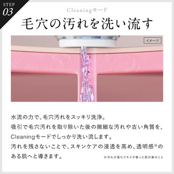 Multi Skin Cleaner マルチスキンクリーナー NIPLUX