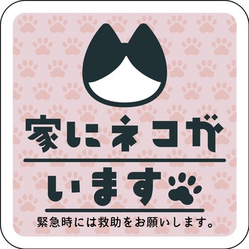 マグネット 家にネコがいます ハチワレ グリーンクロス