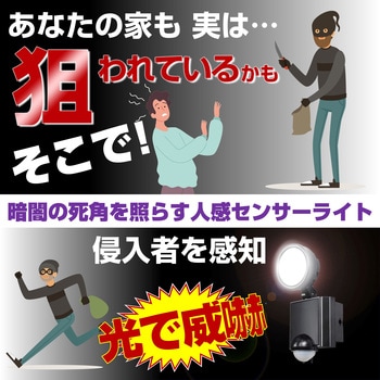 人感センサーライト コンセント式 白色LED 防雨 防水 簡単設置 屋外 セキュリティ 防犯 ELPA