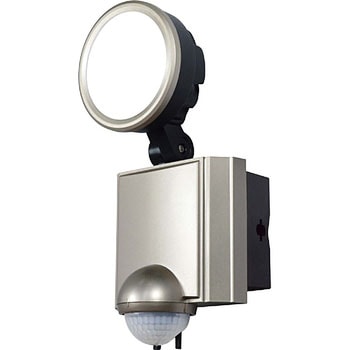 mains security light