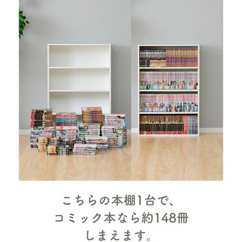 ジャンプ流全巻 応募者全員 複製原稿 複製原画　DVDラック 専用バインダー 鳥山 明 カラー 複製原画 セット 少年ジャンプ 賞品 Dr.スランプ