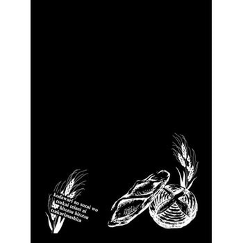 Pマジカルボード 白イラスト P・O・Pプロダクツ
