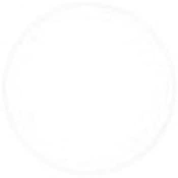 自文具 筆ペン(ツイン) セキセイ