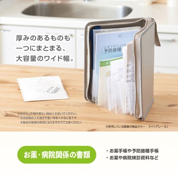 セパルおかたづけファイルA5 クリア セキセイ