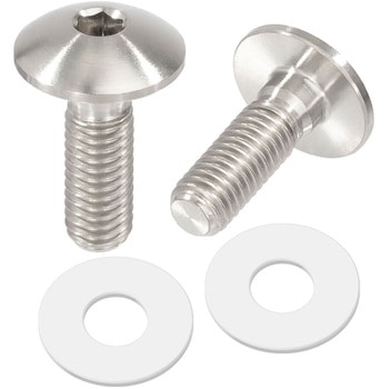 チタンスクリーンボルト ZETA