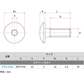 チタンスクリーンボルト ZETA