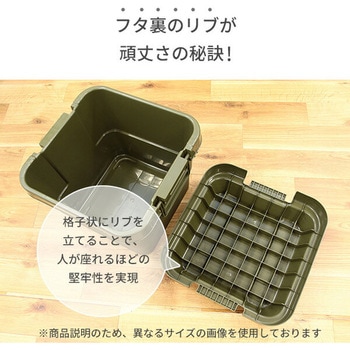トランクカーゴ 座れる 収納ボックス 収納ケース コンテナボックス リス