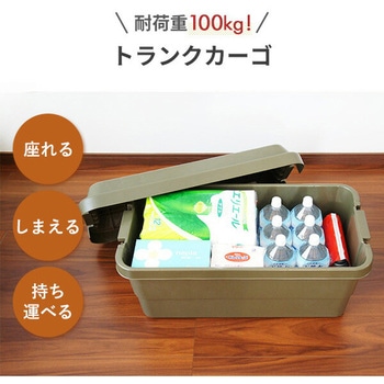 トランクカーゴ 座れる 収納ボックス 収納ケース コンテナボックス リス