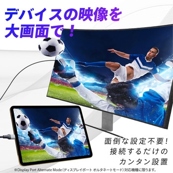 USB TYPE-C/HDMI変換ケーブル SEIWA(セイワ)