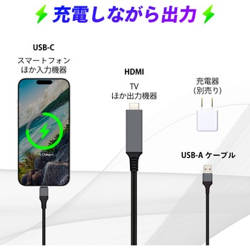 USB TYPE-C/HDMI変換ケーブル SEIWA(セイワ)