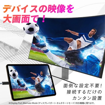 USB TYPE-C/HDMI変換ケーブル SEIWA(セイワ)