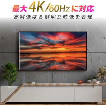 USB TYPE-C/HDMI変換ケーブル SEIWA(セイワ)