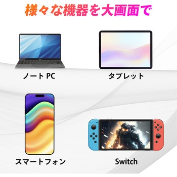 USB TYPE-C/HDMI変換ケーブル SEIWA(セイワ)