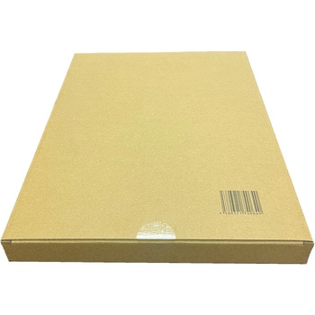 吸水シート ダッシュシート6 10枚入×10 - キーストン