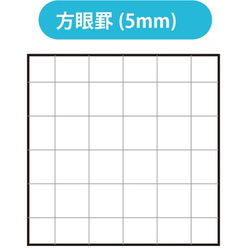 ロジカルエアーノートビジネス5ミリ方眼A4 80枚/D - ナカバヤシ