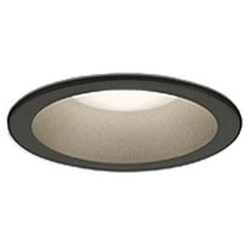 OD361799R ���ω΍\���Ή� ���O�p LED��̌^ �x�[�X�_�E�����C�g ODELIC(�I�[�f���b�N) �s�� 2700K �d���F �����v�̎��:�����FLED(R15�N���X2) ��������100mm  OD361799R 66054628