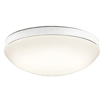 OW269049LR �����FLED �G�N�X�e���A �|�[�`���C�g R15�N���X2 ODELIC(�I�[�f���b�N) �d���F ����317mm  OW269049LR 66055861