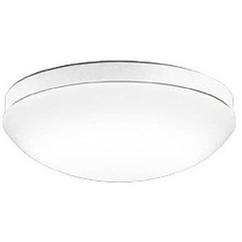 OW269049NR �����FLED �G�N�X�e���A �|�[�`���C�g R15�N���X2 ODELIC(�I�[�f���b�N) �����F ����317mm  OW269049NR 66055870