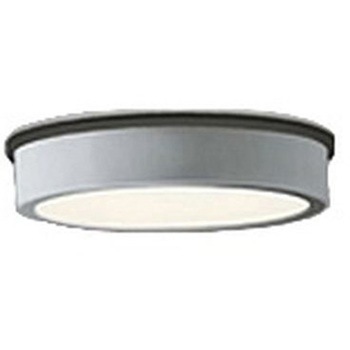 OG254520R �t���b�g�v���[�g �G�N�X�e���A �����FLED �_�E�����C�g R15�N���X2 ODELIC(�I�[�f���b�N) ������p��t �h�J�^ 100V 2700K �d���F ���邳���M�����100W���� �}�b�g�V���o�[�F   OG254520R 66056457