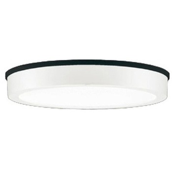 OG254807R �t���b�g�v���[�g �G�N�X�e���A �����FLED �_�E�����C�g R15�N���X2 ODELIC(�I�[�f���b�N) ������p��t �h�J�^ 100V 5000K �����F ���邳FCL30W���� �I�t�z���C�g�F   OG254807R 66056466