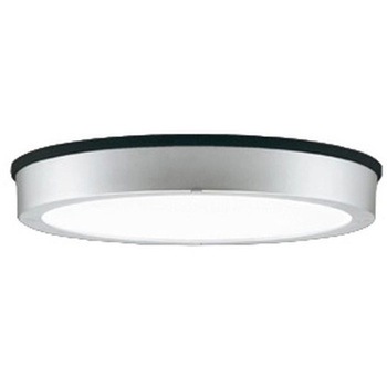 OG254811R �t���b�g�v���[�g �G�N�X�e���A �����FLED �_�E�����C�g R15�N���X2 ODELIC(�I�[�f���b�N) ������p��t �h�J�^ 100V 5000K �����F ���邳FCL30W���� �}�b�g�V���o�[�F   OG254811R 66056509