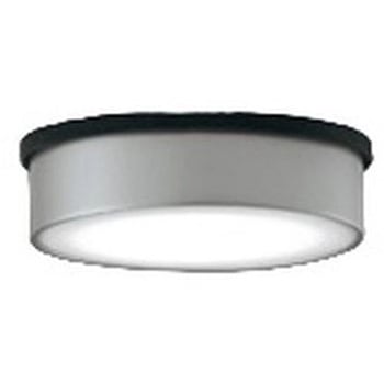 OG264302NR �t���b�g�v���[�g �G�N�X�e���A �����FLED �_�E�����C�g R15�N���X2 ODELIC(�I�[�f���b�N) �h�J�^ 100V �s�� 5000K �����F ������t��p ���邳���M�����60W����   OG264302NR 66056631